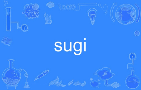 sugi