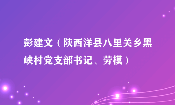 彭建文（陕西洋县八里关乡黑峡村党支部书记、劳模）