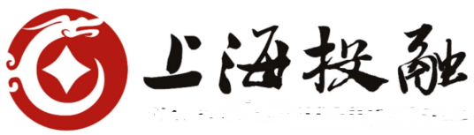 什么是上海投融信息科技服务有限公司