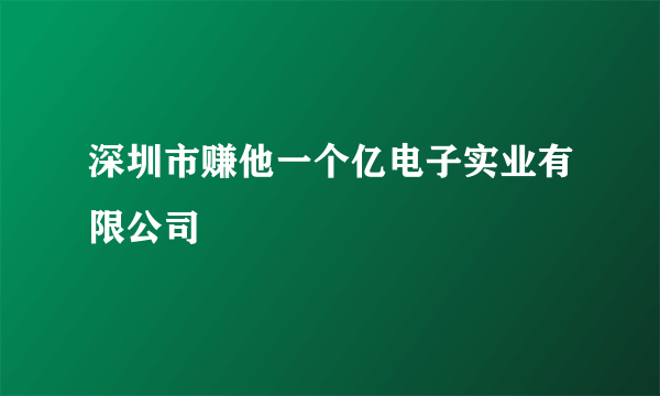 深圳市赚他一个亿电子实业有限公司