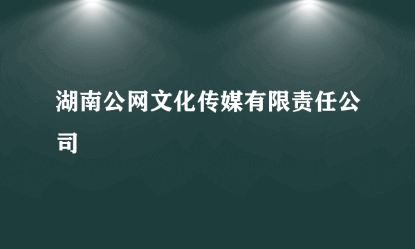 湖南公网文化传媒有限责任公司