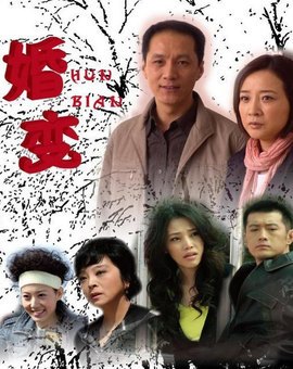 婚变（2008年冯远征、陈小艺主演电视剧）