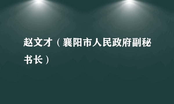 赵文才（襄阳市人民政府副秘书长）