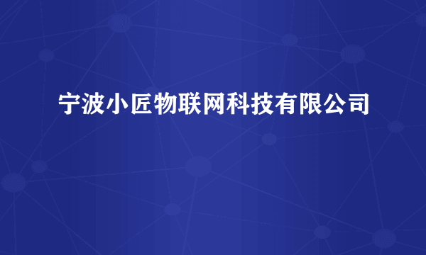 什么是宁波小匠物联网科技有限公司