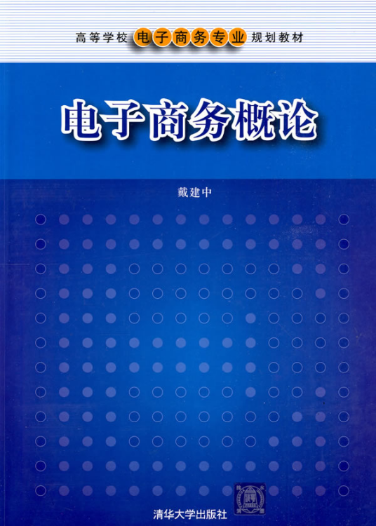 电子商务概论（2009年清华大学出版社出版的图书）