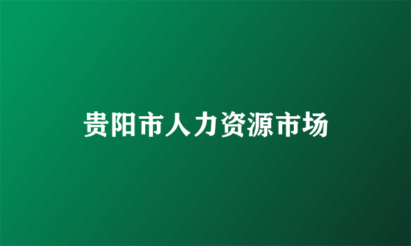 什么是贵阳市人力资源市场