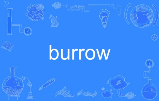 Burrow