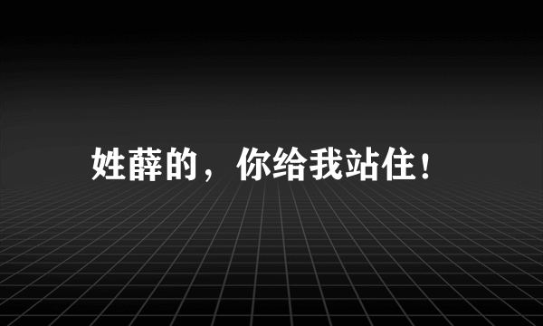 什么是姓薛的，你给我站住！