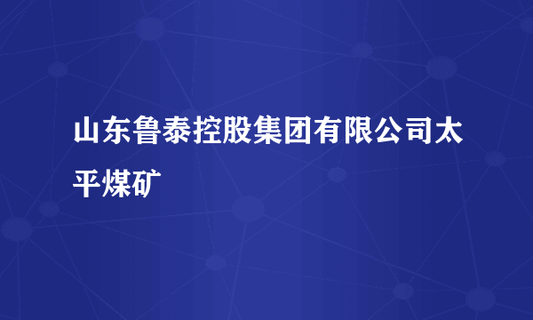 什么是山东鲁泰控股集团有限公司太平煤矿