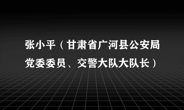 张小平（甘肃省广河县公安局党委委员、交警大队大队长）