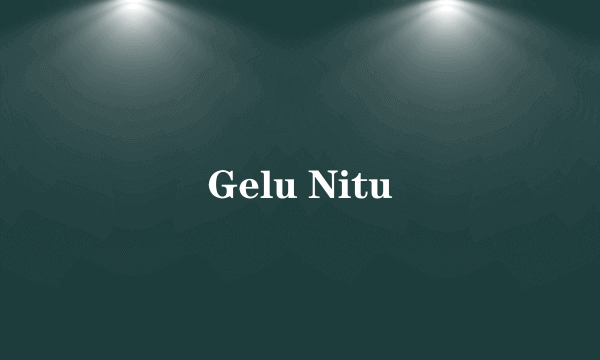 什么是Gelu Nitu