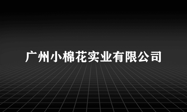 广州小棉花实业有限公司