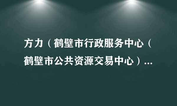 方力（鹤壁市行政服务中心（鹤壁市公共资源交易中心）副主任）