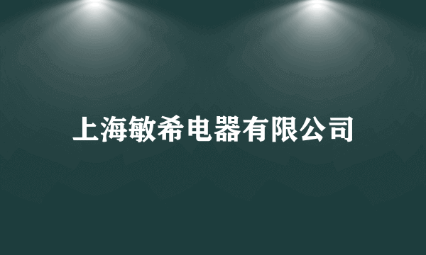 什么是上海敏希电器有限公司