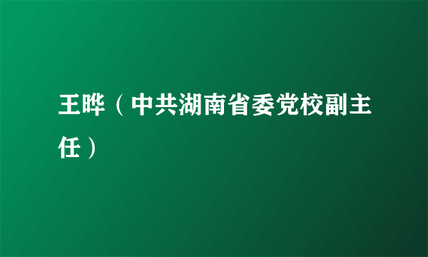 什么是王晔（中共湖南省委党校副主任）