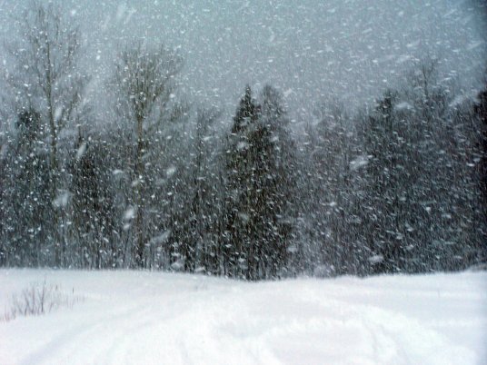 风雪（气候）