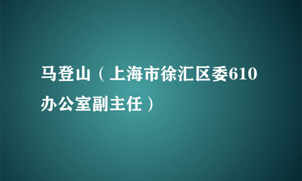 马登山（上海市徐汇区委610办公室副主任）