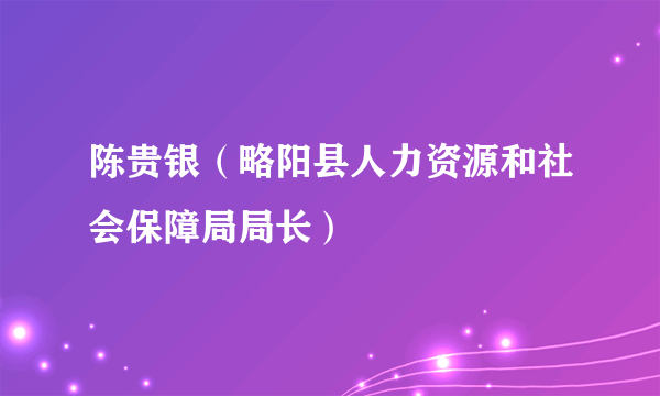 陈贵银（略阳县人力资源和社会保障局局长）