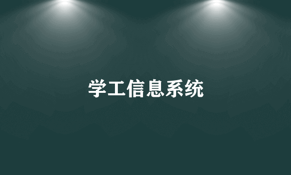 什么是学工信息系统