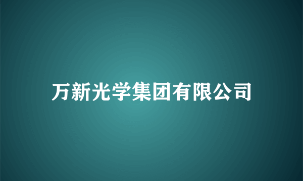 万新光学集团有限公司