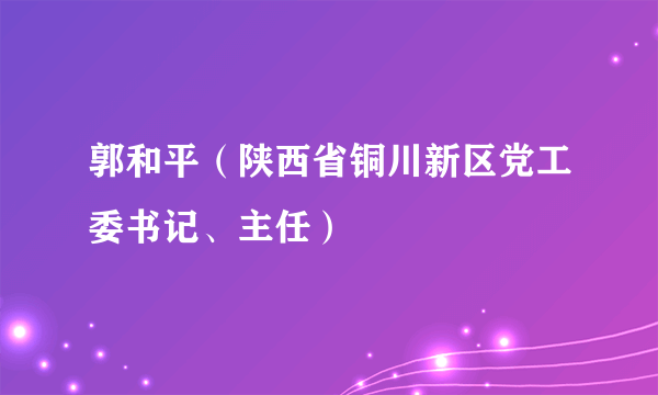 什么是郭和平（陕西省铜川新区党工委书记、主任）