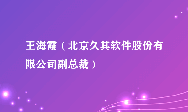 王海霞（北京久其软件股份有限公司副总裁）