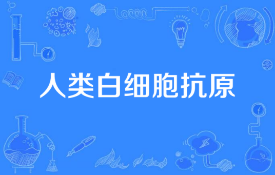 什么是人类白细胞抗原（人类白细胞抗原）