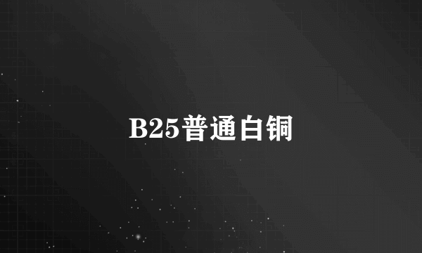 什么是B25普通白铜