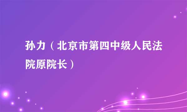 孙力（北京市第四中级人民法院原院长）