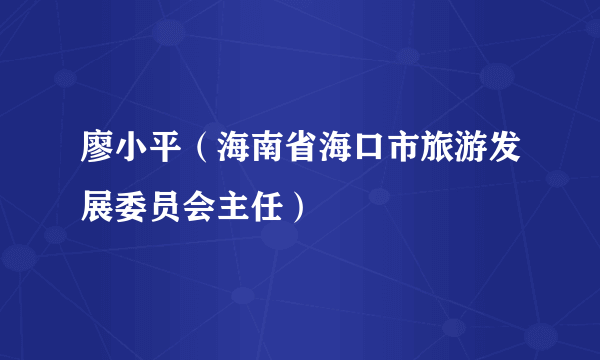 廖小平（海南省海口市旅游发展委员会主任）