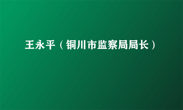 什么是王永平（铜川市监察局局长）