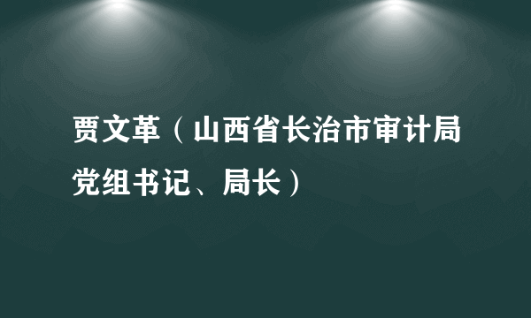 贾文革（山西省长治市审计局党组书记、局长）