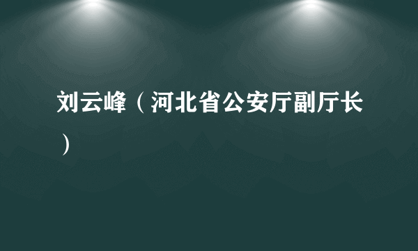 刘云峰（河北省公安厅副厅长）