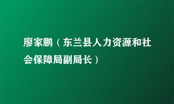 什么是廖家鹏（东兰县人力资源和社会保障局副局长）