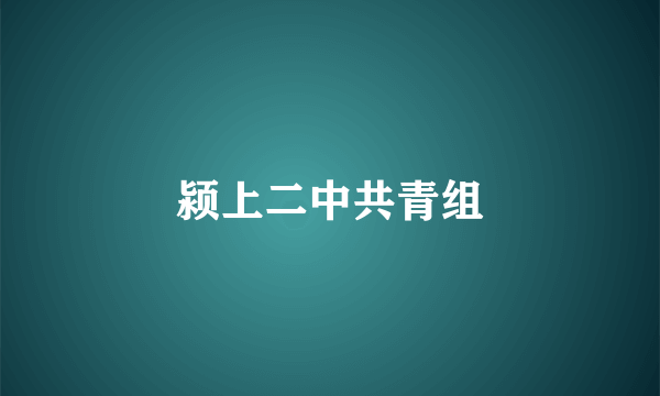 颍上二中共青组