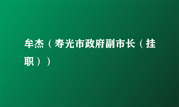 牟杰（寿光市政府副市长（挂职））