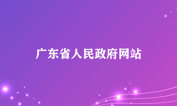 什么是广东省人民政府网站