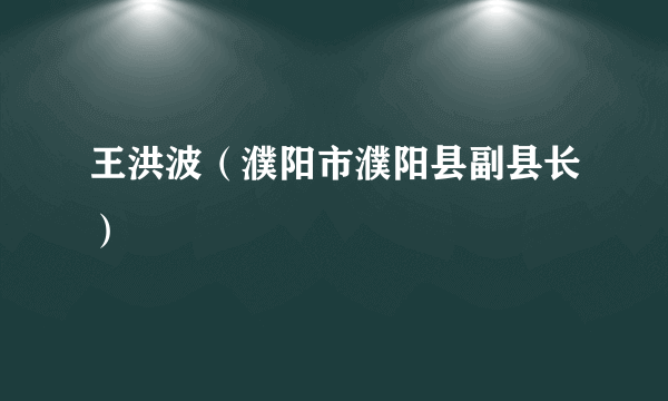 王洪波（濮阳市濮阳县副县长）