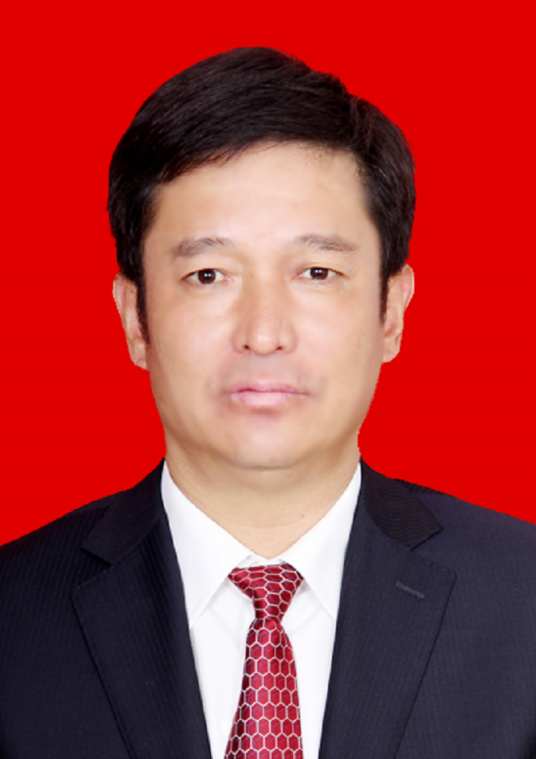 什么是王书文（山西省长治市武乡县人民政府党组书记，县长）