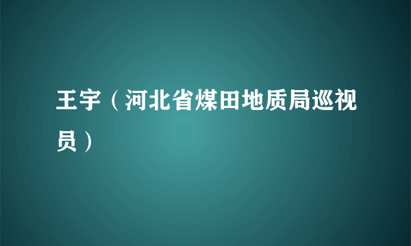 王宇（河北省煤田地质局巡视员）