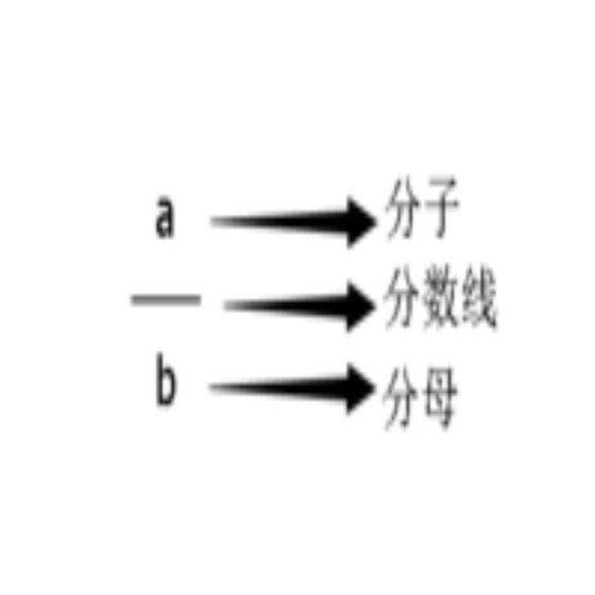 分母（数学术语）