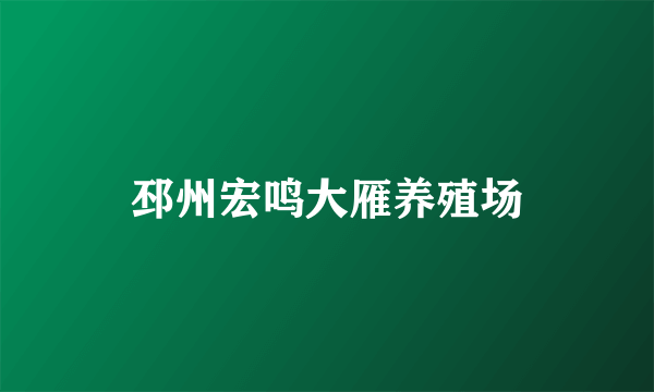 邳州宏鸣大雁养殖场