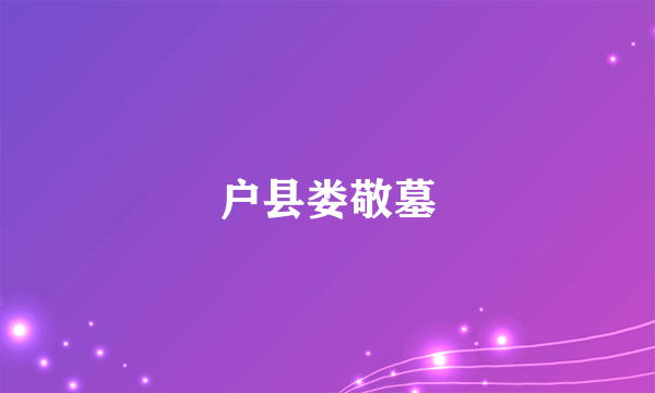 什么是户县娄敬墓