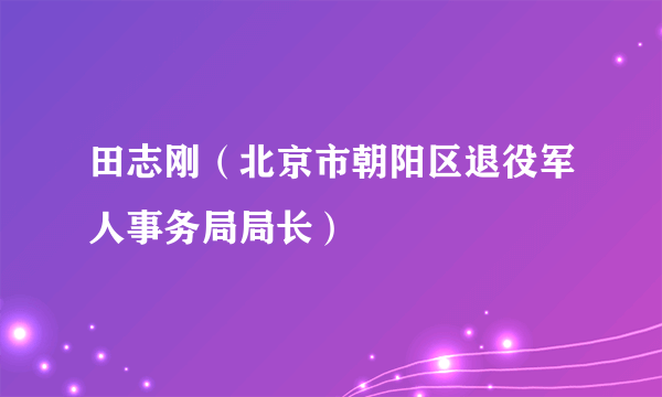 什么是田志刚（北京市朝阳区退役军人事务局局长）