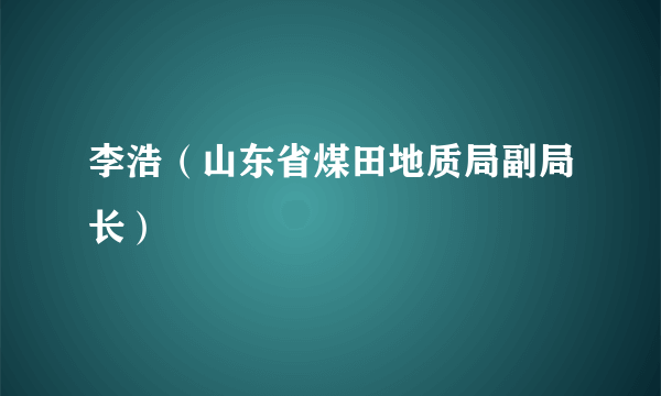 李浩（山东省煤田地质局副局长）