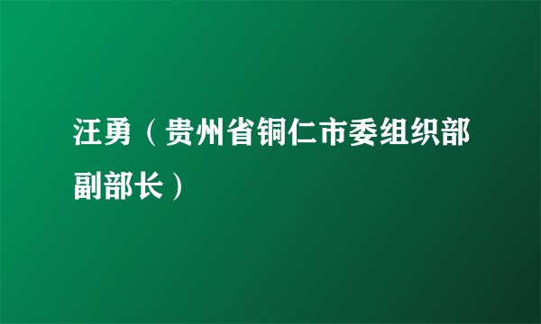 汪勇（贵州省铜仁市委组织部副部长）