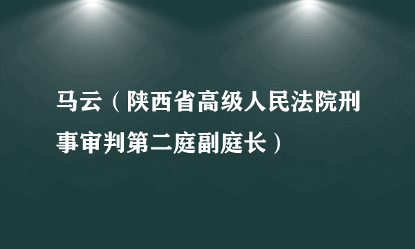 马云（陕西省高级人民法院刑事审判第二庭副庭长）