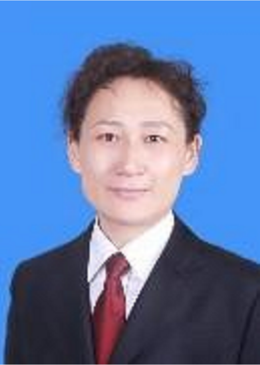 李琳（安徽省亳州市退役军人事务局局长）