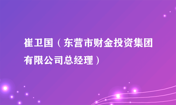 崔卫国（东营市财金投资集团有限公司总经理）