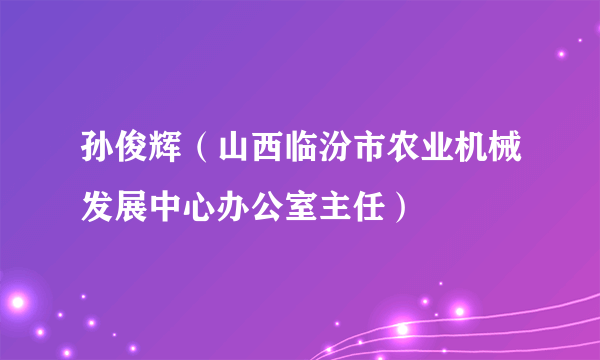 孙俊辉（山西临汾市农业机械发展中心办公室主任）